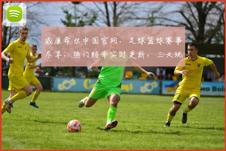 威廉希尔中国官网，足球篮球赛事尽享，热门赔率实时更新，三大玩法，一站到底