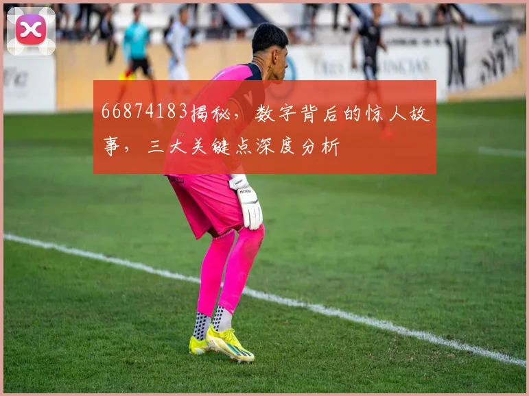 66874183揭秘，数字背后的惊人故事，三大关键点深度分析