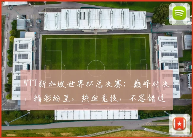 WTT新加坡世界杯总决赛：巅峰对决，精彩纷呈，热血竞技，不容错过，激情碰撞