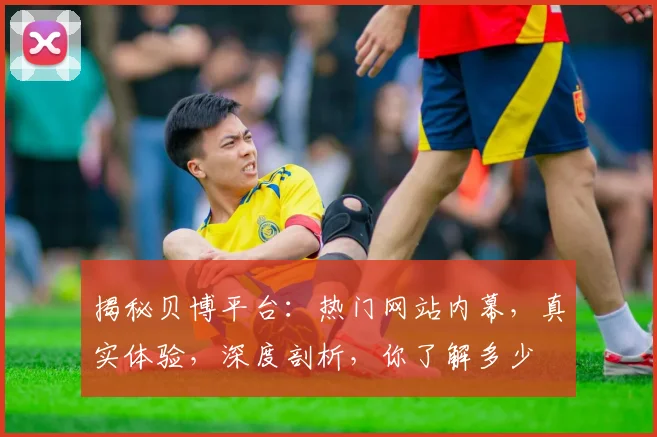 揭秘贝博平台：热门网站内幕，真实体验，深度剖析，你了解多少